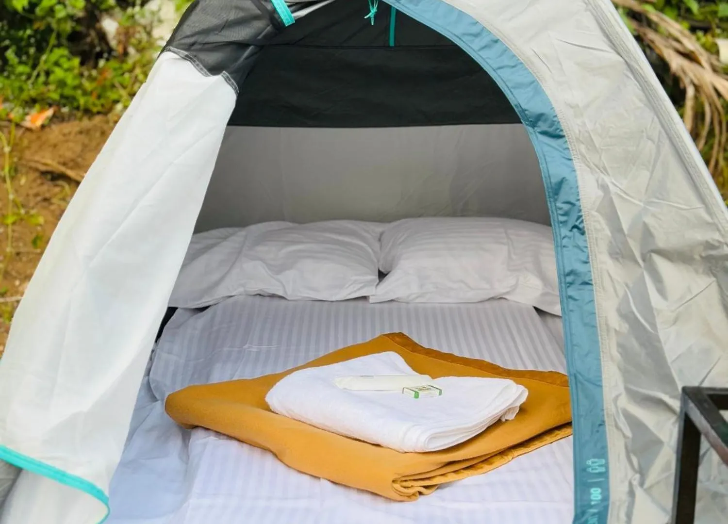 Munnar Tents