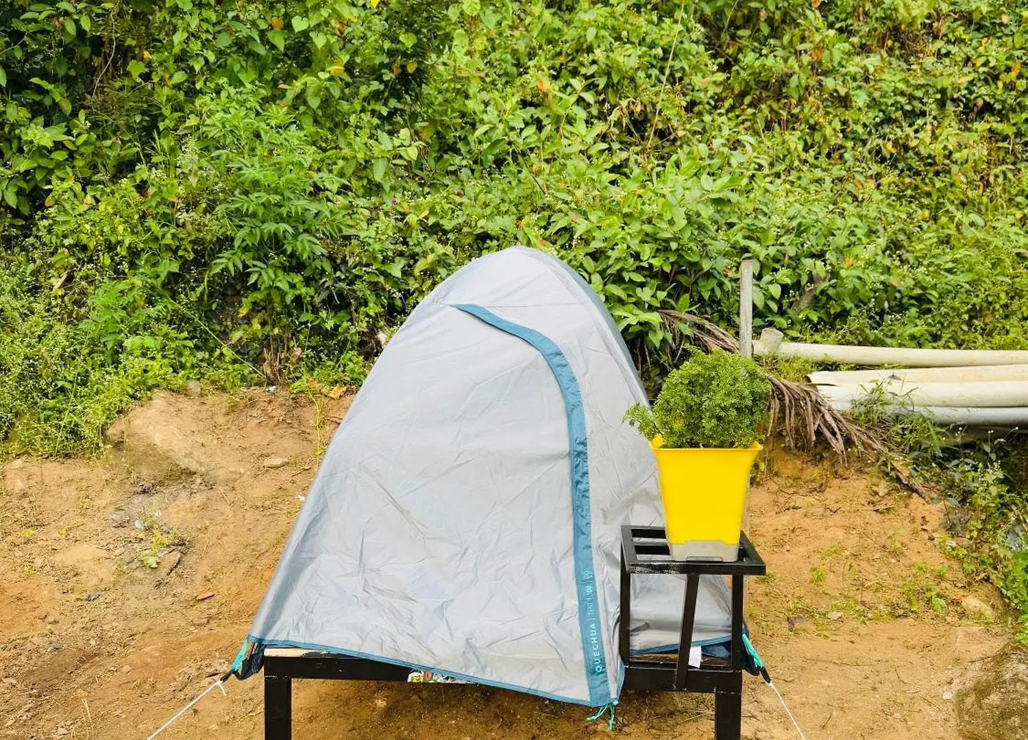 Luksustelt Munnar Tents
